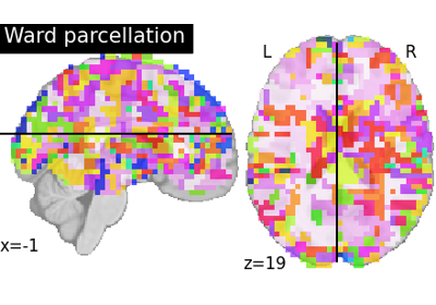 Clustering methods to learn a brain parcellation from fMRI