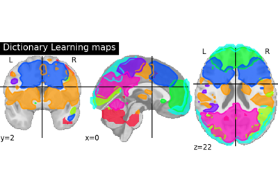 Regions extraction using dictionary learning and functional connectomes