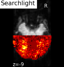 _images/sphx_glr_plot_haxby_searchlight_001.png