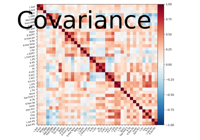 Computing a connectome with sparse inverse covariance