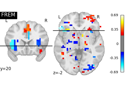 FREM on Jimura et al "mixed gambles" dataset.