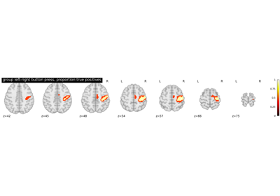 Second-level fMRI model: true positive proportion in clusters