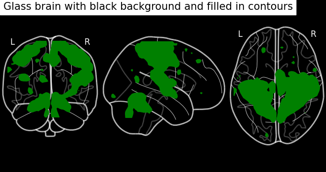 plot demo glass brain extensive