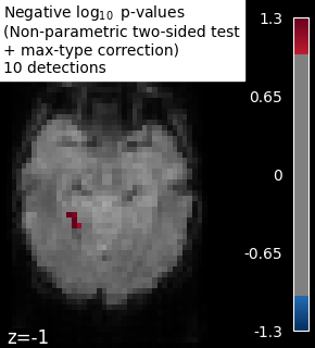 plot haxby mass univariate