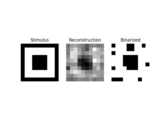 Stimulus, Reconstruction, Binarized