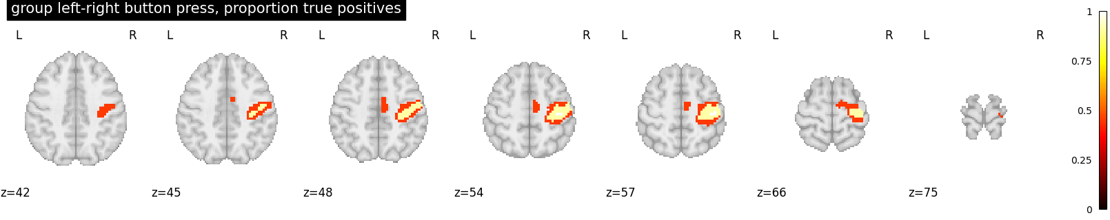 plot proportion activated voxels