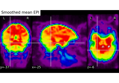 Computing a Region of Interest (ROI) mask manually