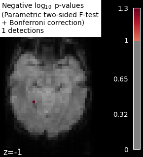 plot haxby mass univariate