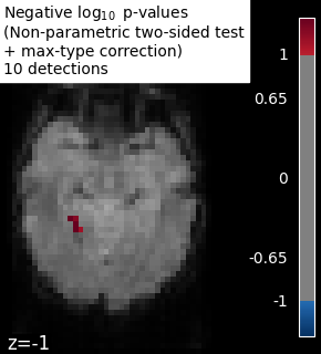 plot haxby mass univariate