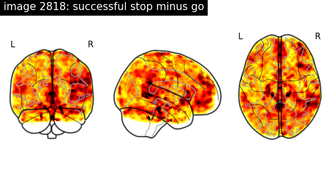 plot neurovault meta analysis