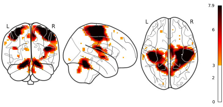 plot demo glass brain extensive