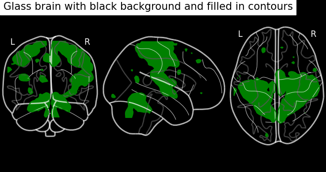 plot demo glass brain extensive