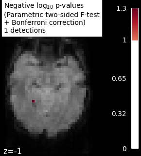 plot haxby mass univariate