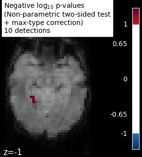 plot haxby mass univariate