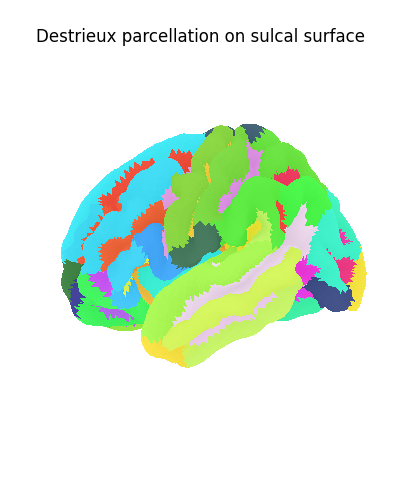 Destrieux parcellation on sulcal surface