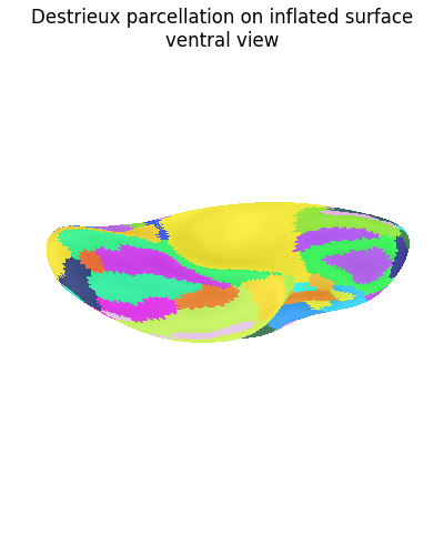 Destrieux parcellation on inflated surface ventral view