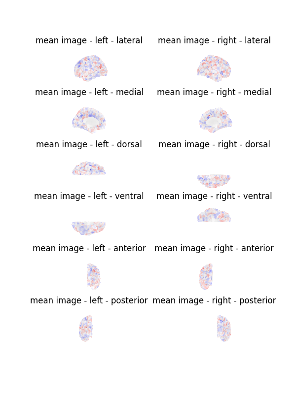 mean image - left - lateral, mean image - right - lateral, mean image - left - medial, mean image - right - medial, mean image - left - dorsal, mean image - right - dorsal, mean image - left - ventral, mean image - right - ventral, mean image - left - anterior, mean image - right - anterior, mean image - left - posterior, mean image - right - posterior