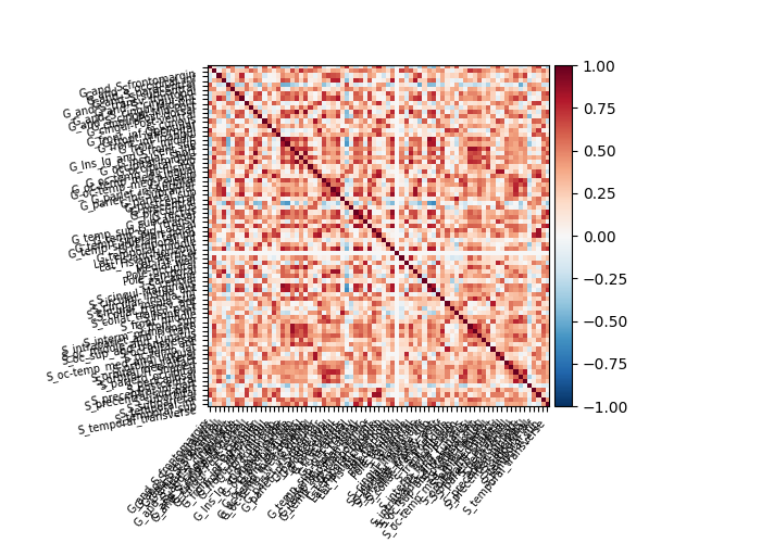 plot surface image and maskers