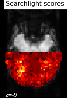 _images/sphx_glr_plot_haxby_searchlight_001.png