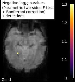 ../_images/sphx_glr_plot_haxby_mass_univariate_001.png