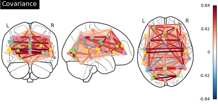 plot inverse covariance connectome
