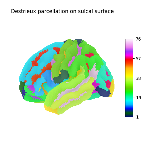 Destrieux parcellation on sulcal surface