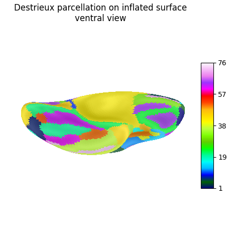 Destrieux parcellation on inflated surface ventral view