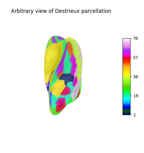 Arbitrary view of Destrieux parcellation
