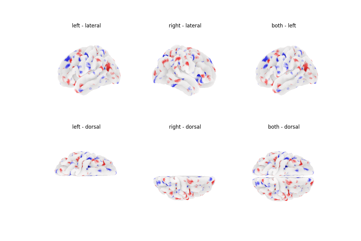 left - lateral, right - lateral, both - left, left - dorsal, right - dorsal, both - dorsal