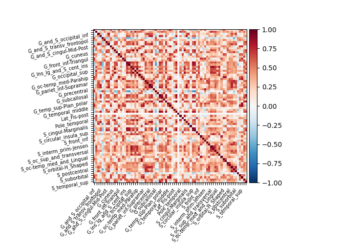 plot surface image and maskers
