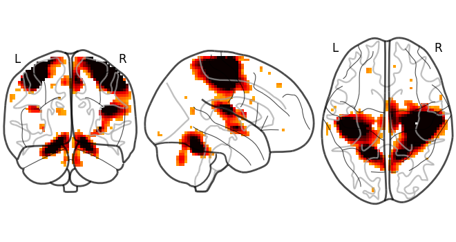 plot demo glass brain extensive