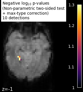 plot haxby mass univariate