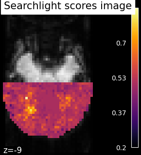 _images/sphx_glr_plot_haxby_searchlight_001.png