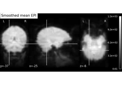 Computing a Region of Interest (ROI) mask manually