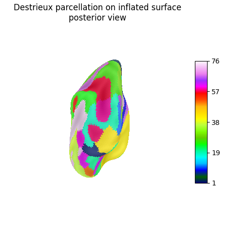 Destrieux parcellation on inflated surface posterior view