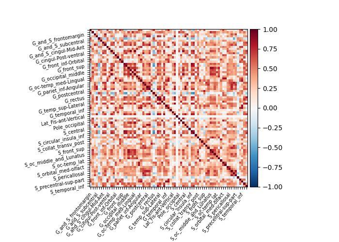 plot surface image and maskers