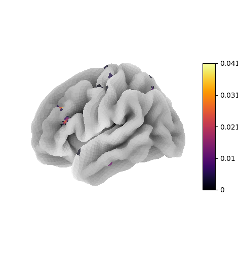 plot surface image and maskers