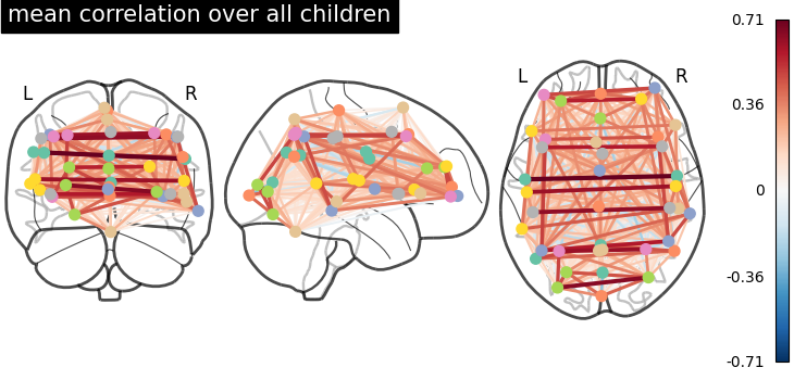 plot group level connectivity