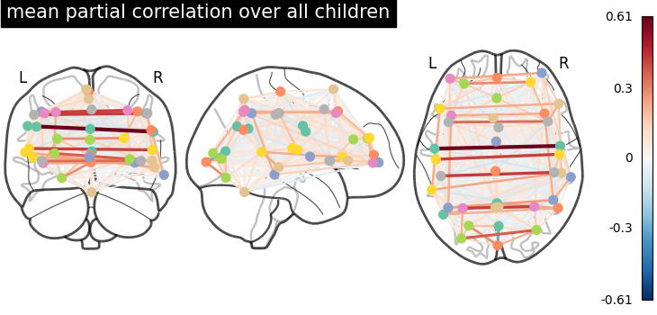 plot group level connectivity