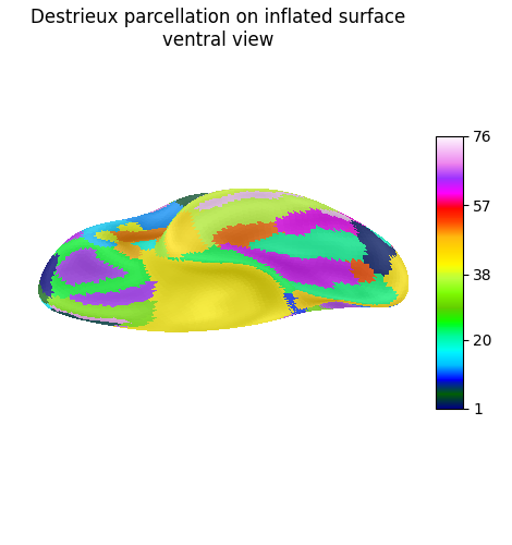 Destrieux parcellation on inflated surface ventral view