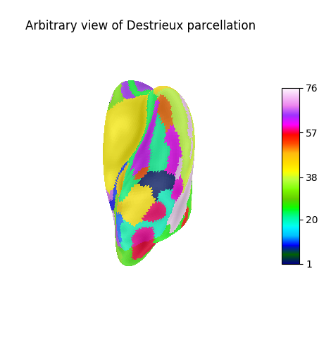 Arbitrary view of Destrieux parcellation