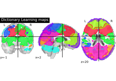 Regions extraction using Dictionary Learning and functional connectomes