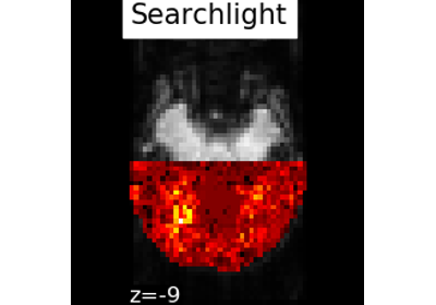 Searchlight analysis of face vs house recognition