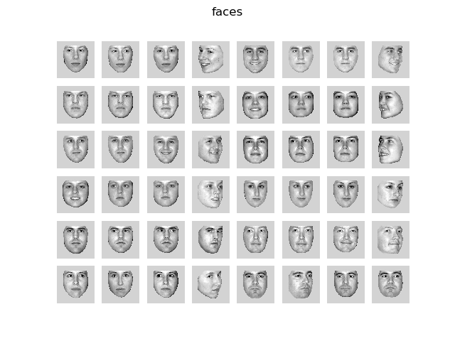 faces