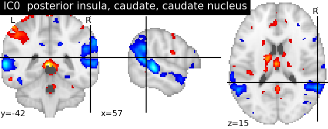 plot ica neurovault