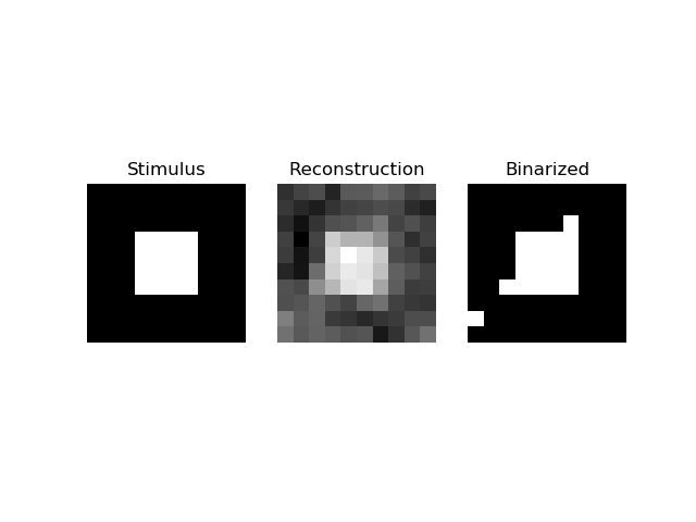 Stimulus, Reconstruction, Binarized