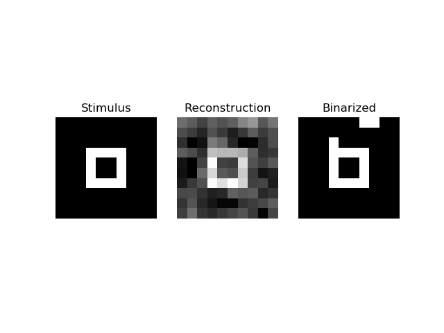 Stimulus, Reconstruction, Binarized