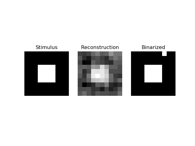 Stimulus, Reconstruction, Binarized