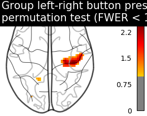 plot second level one sample test