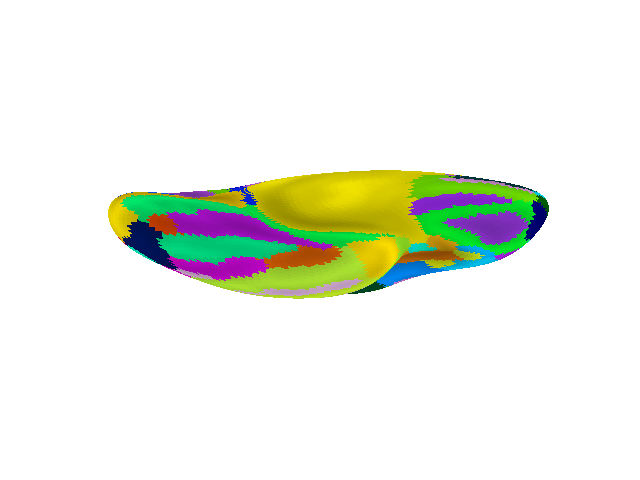 plot surf atlas